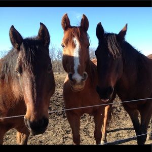 Meet your Posher, Judy